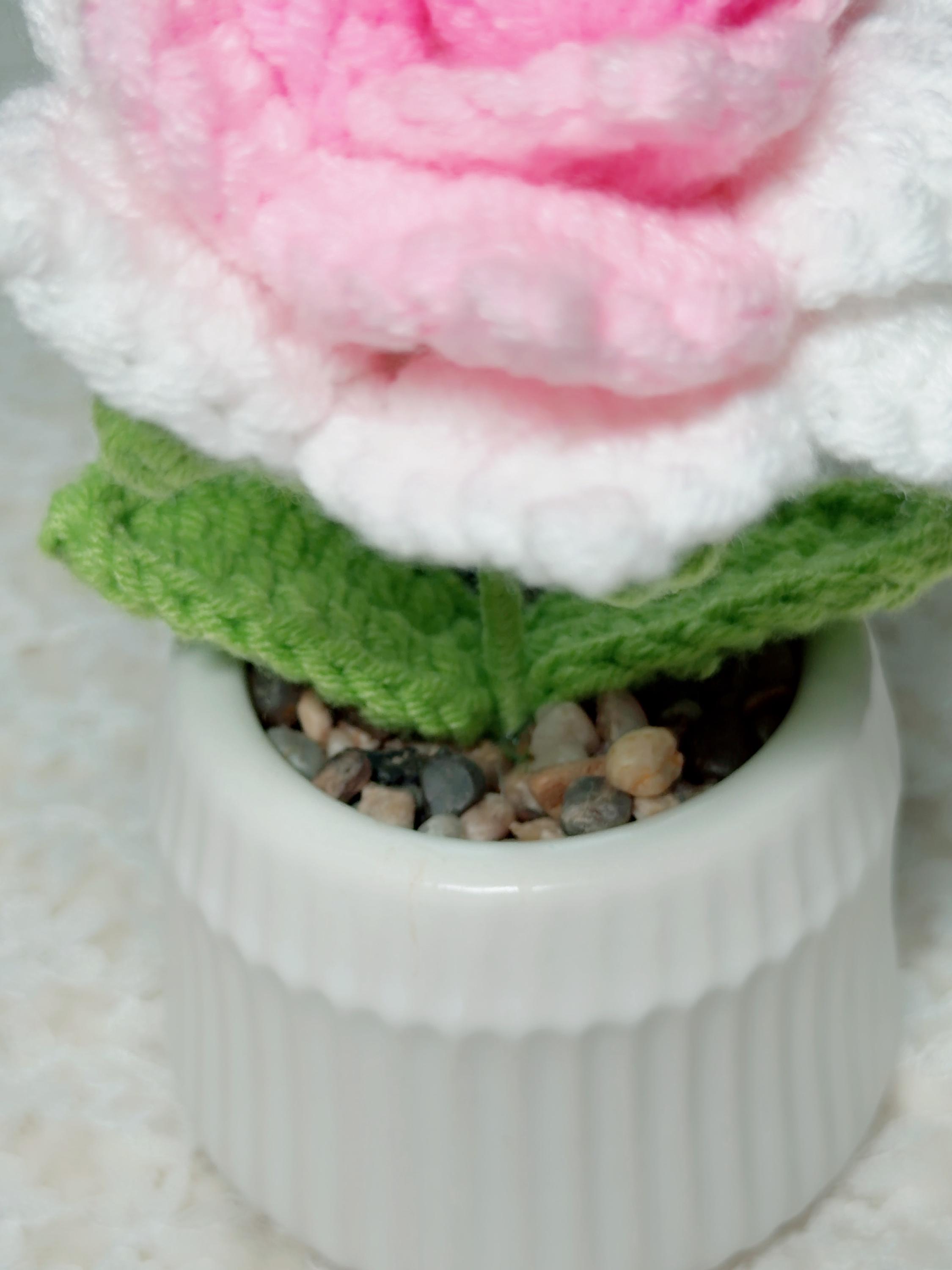 Crochet Rose in Ceramic Pot, product photo 7