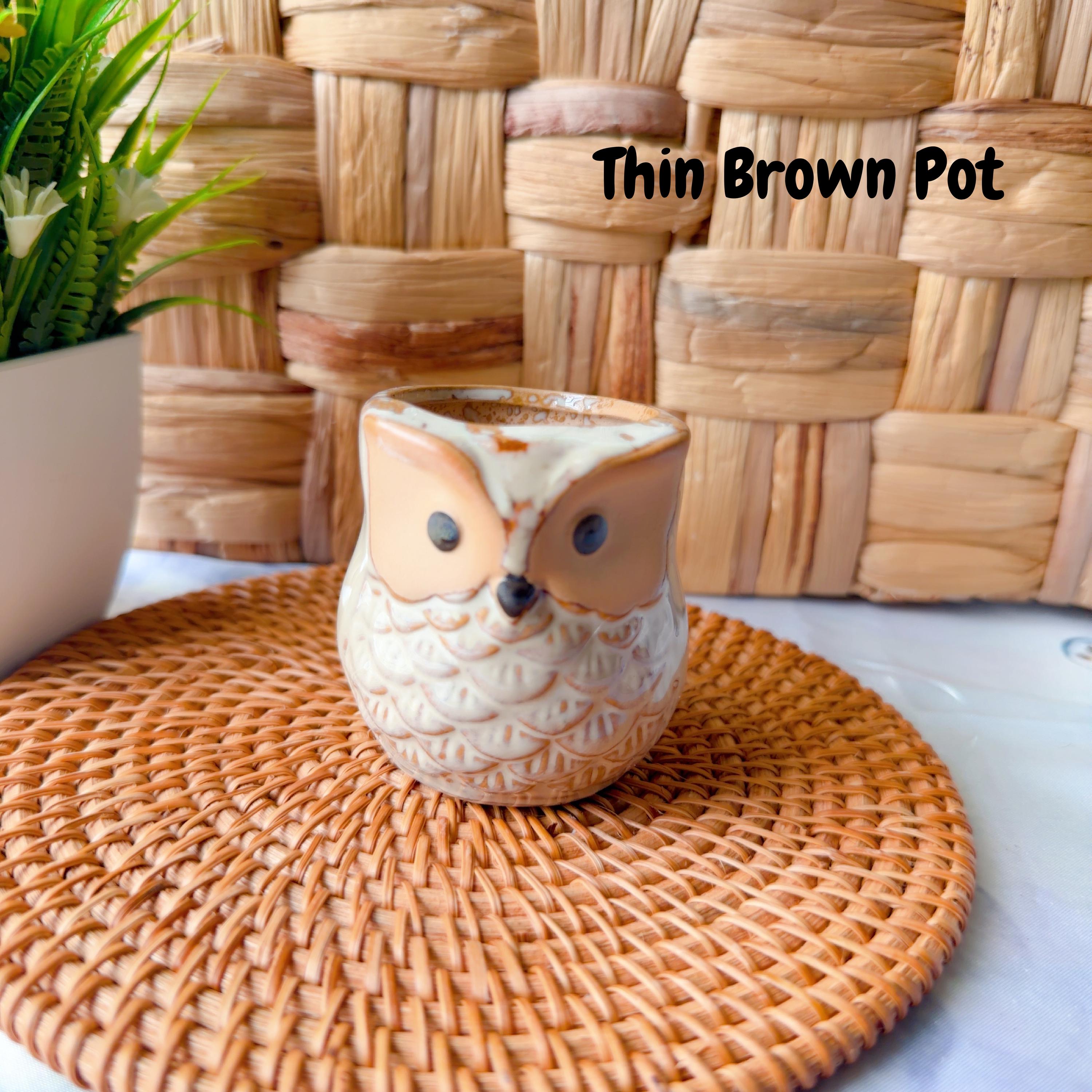 Crochet Potted Flower — Pot & Bloom Options, product photo 15