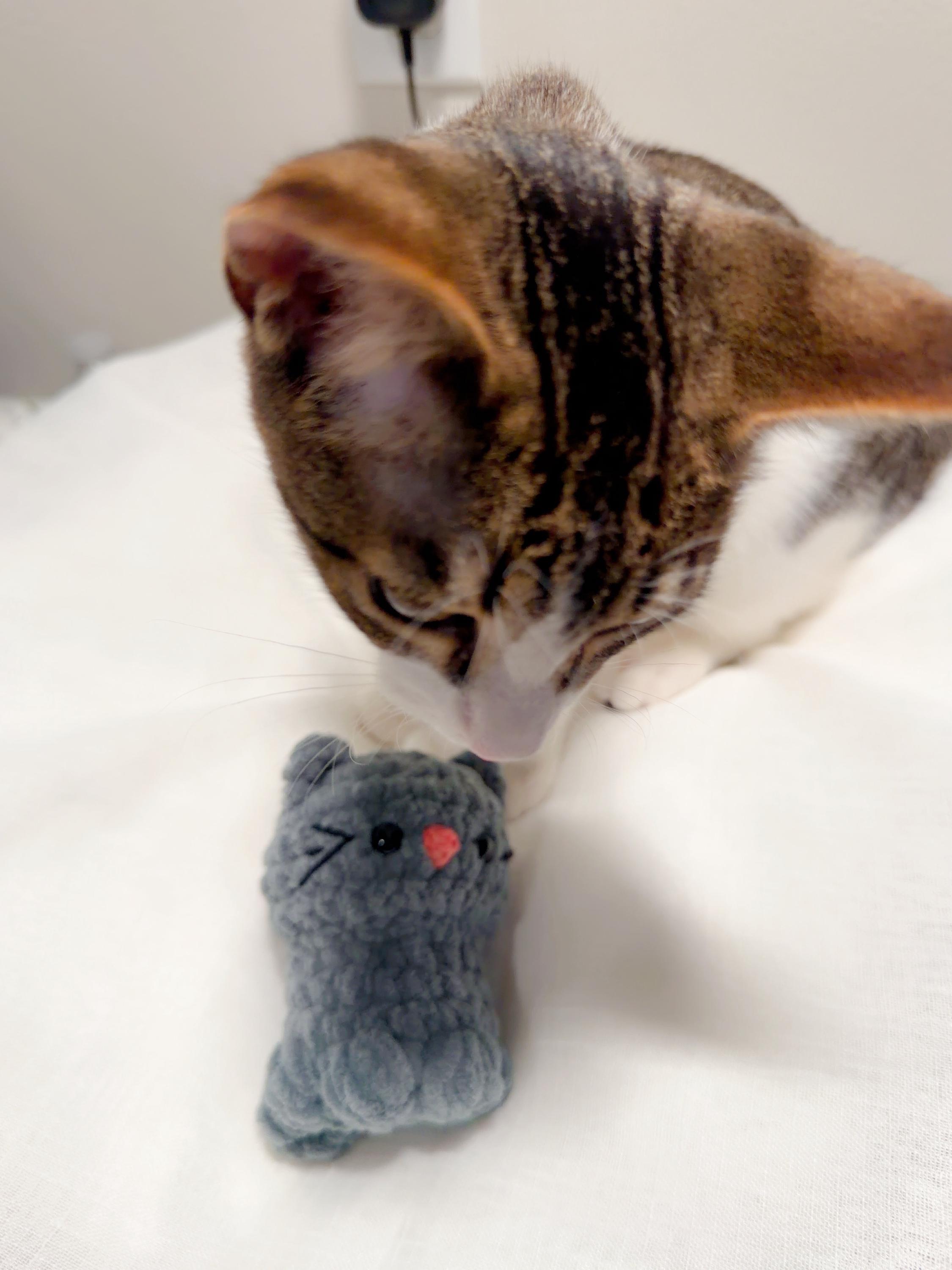 Handmade Crochet Cat Plush, product photo 14