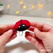 Handmade Crochet Ladybug Keychain, product photo 2