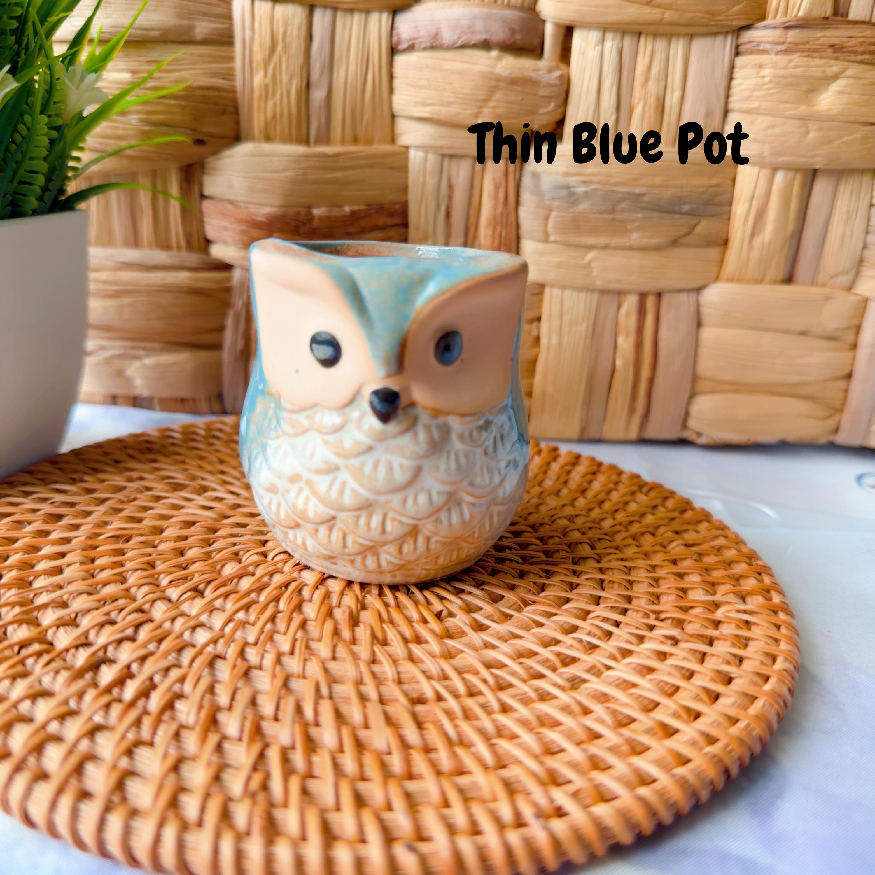 Crochet Potted Flower — Pot & Bloom Options, product photo 19