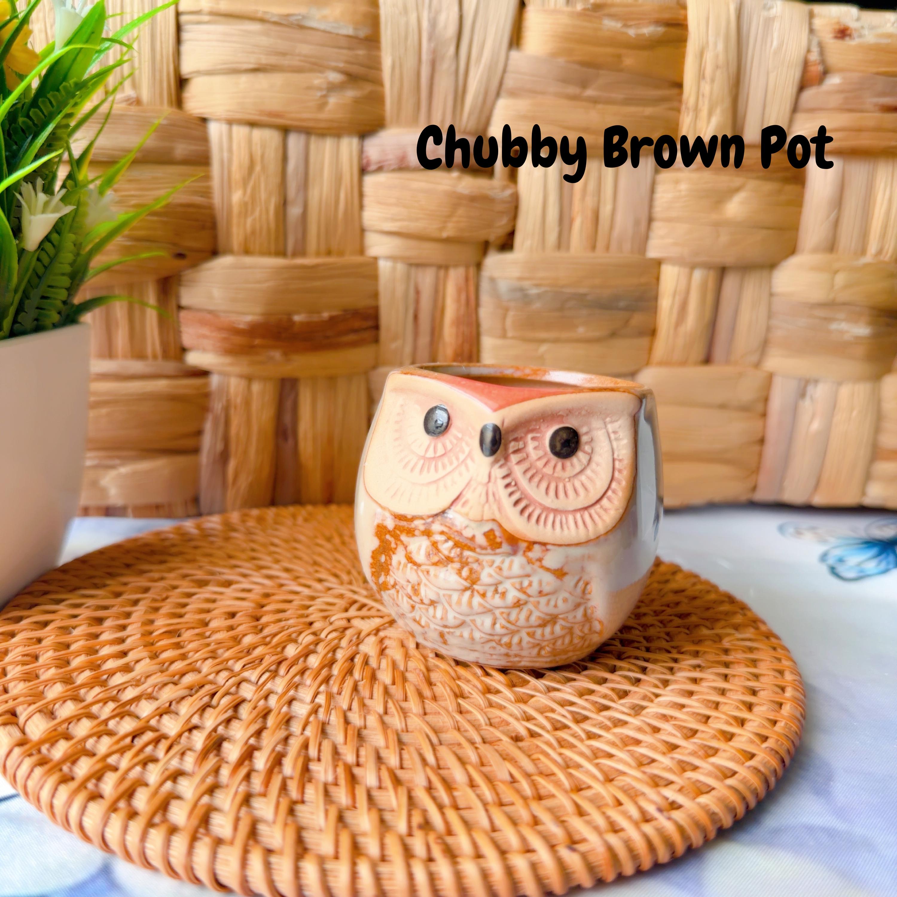 Crochet Potted Flower — Pot & Bloom Options, product photo 14