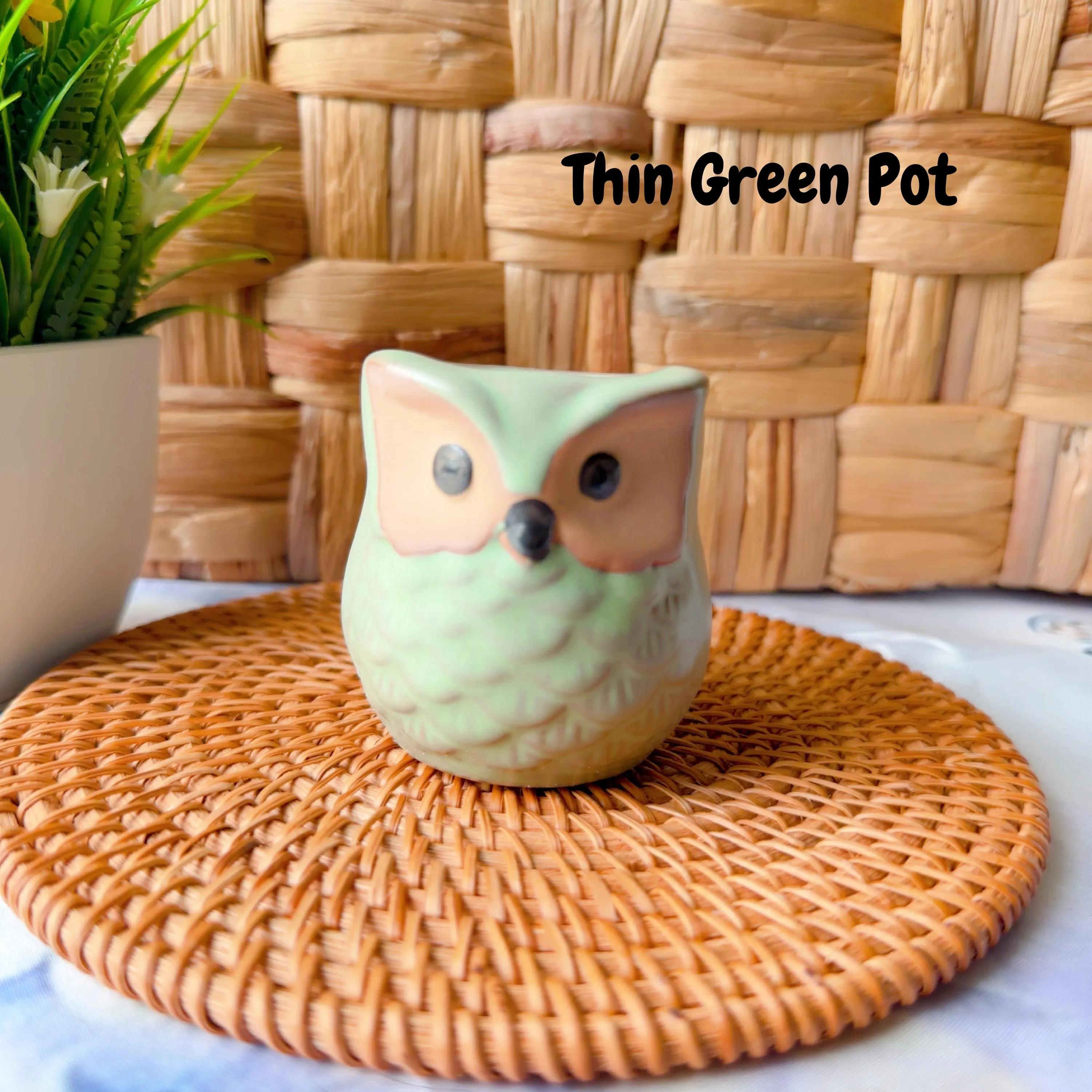 Crochet Potted Flower — Pot & Bloom Options, product photo 17
