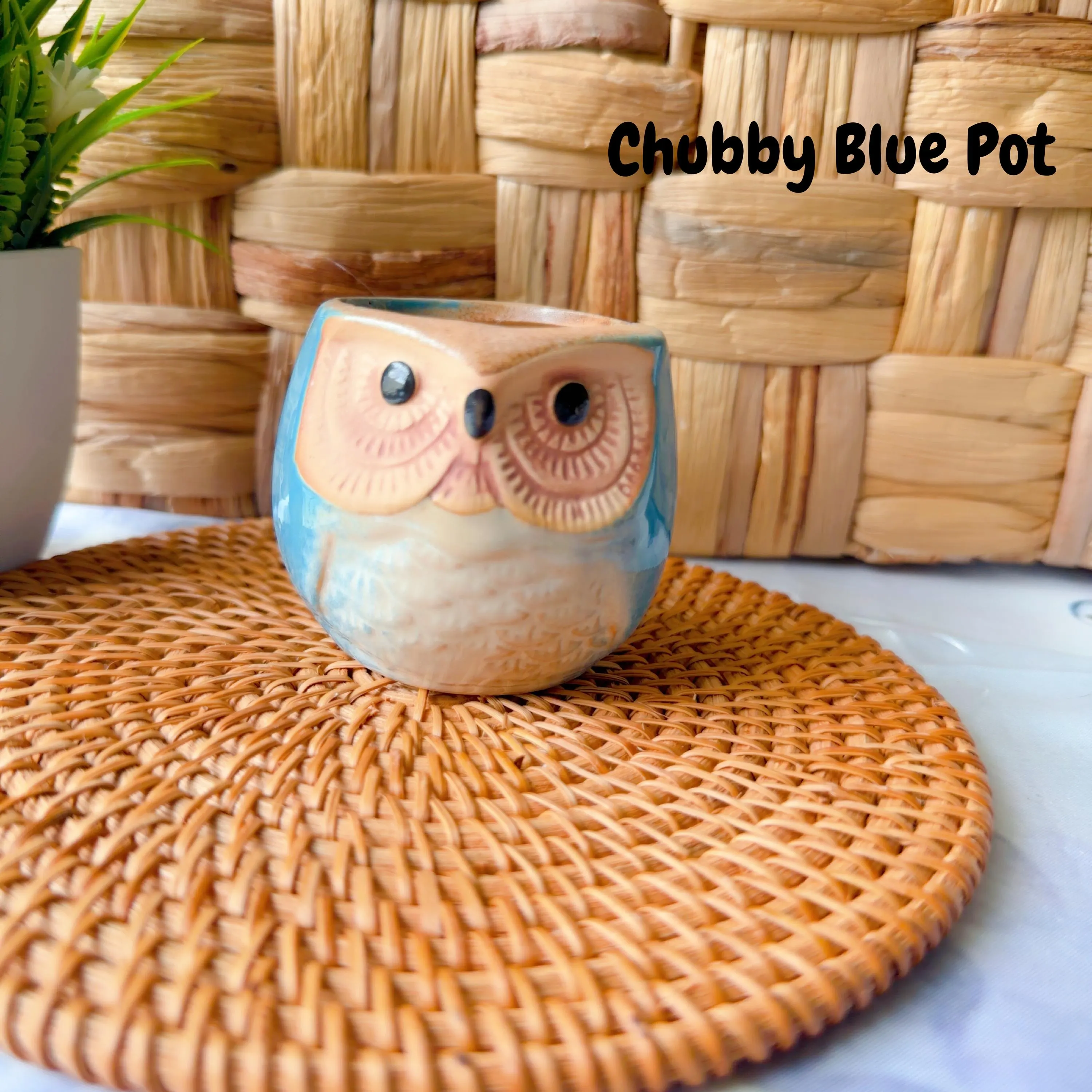 Crochet Potted Flower — Pot & Bloom Options, product photo 18