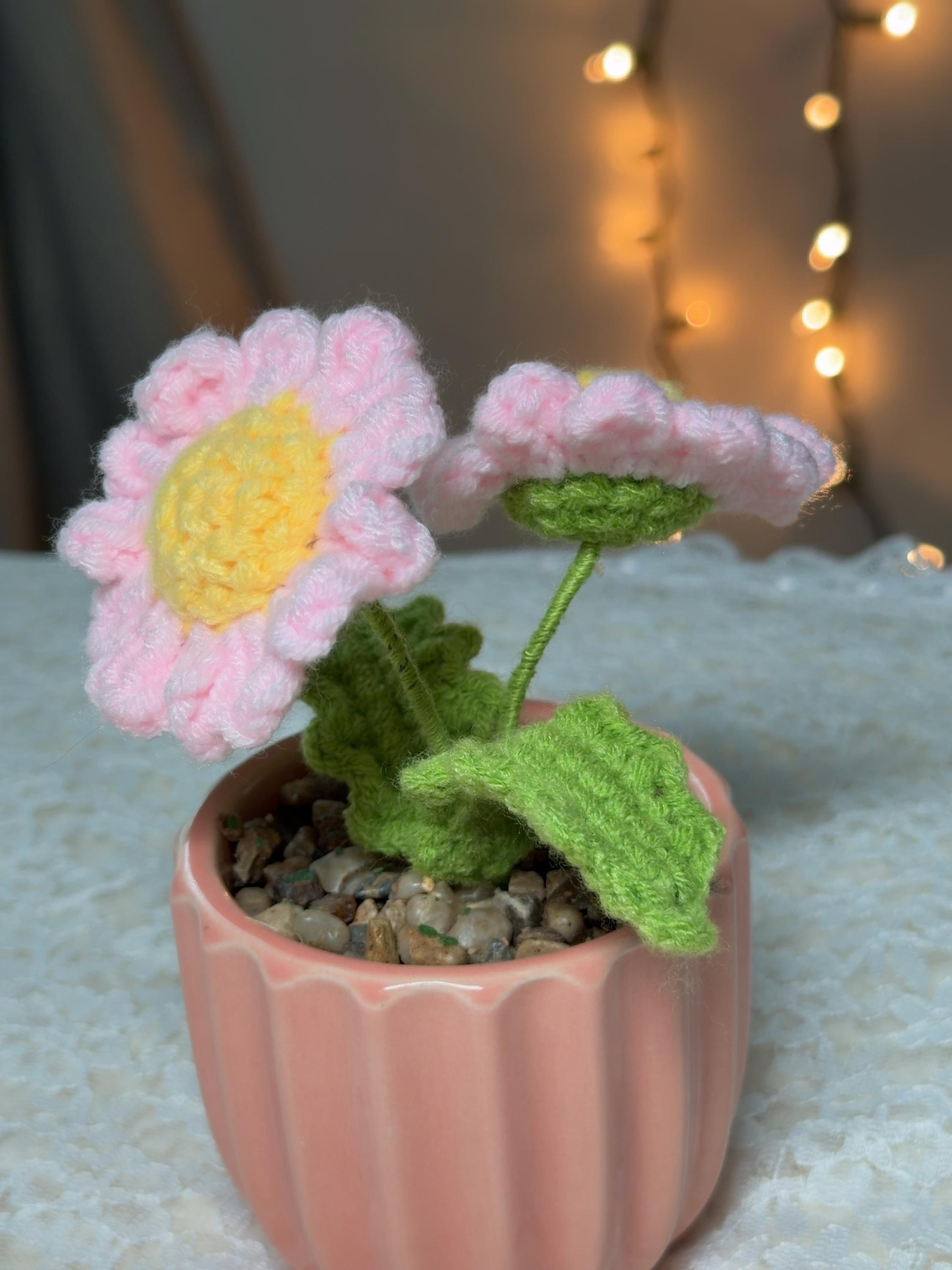 Crochet Pink Daisy in Ceramic Pot, product photo 8