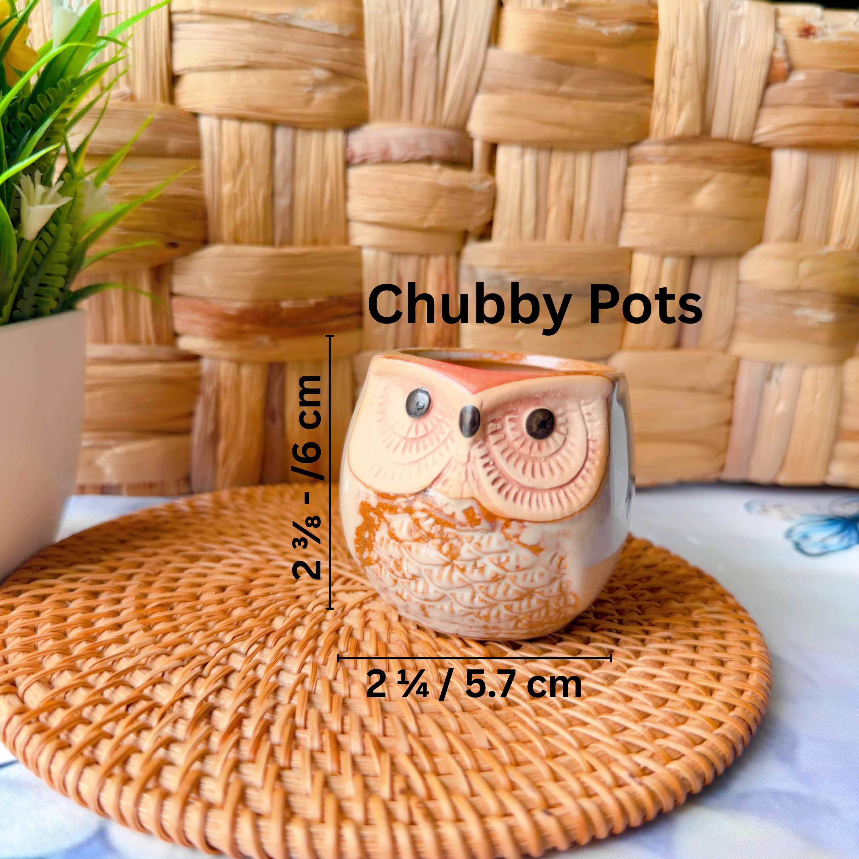 Crochet Potted Flower — Pot & Bloom Options, product photo 20