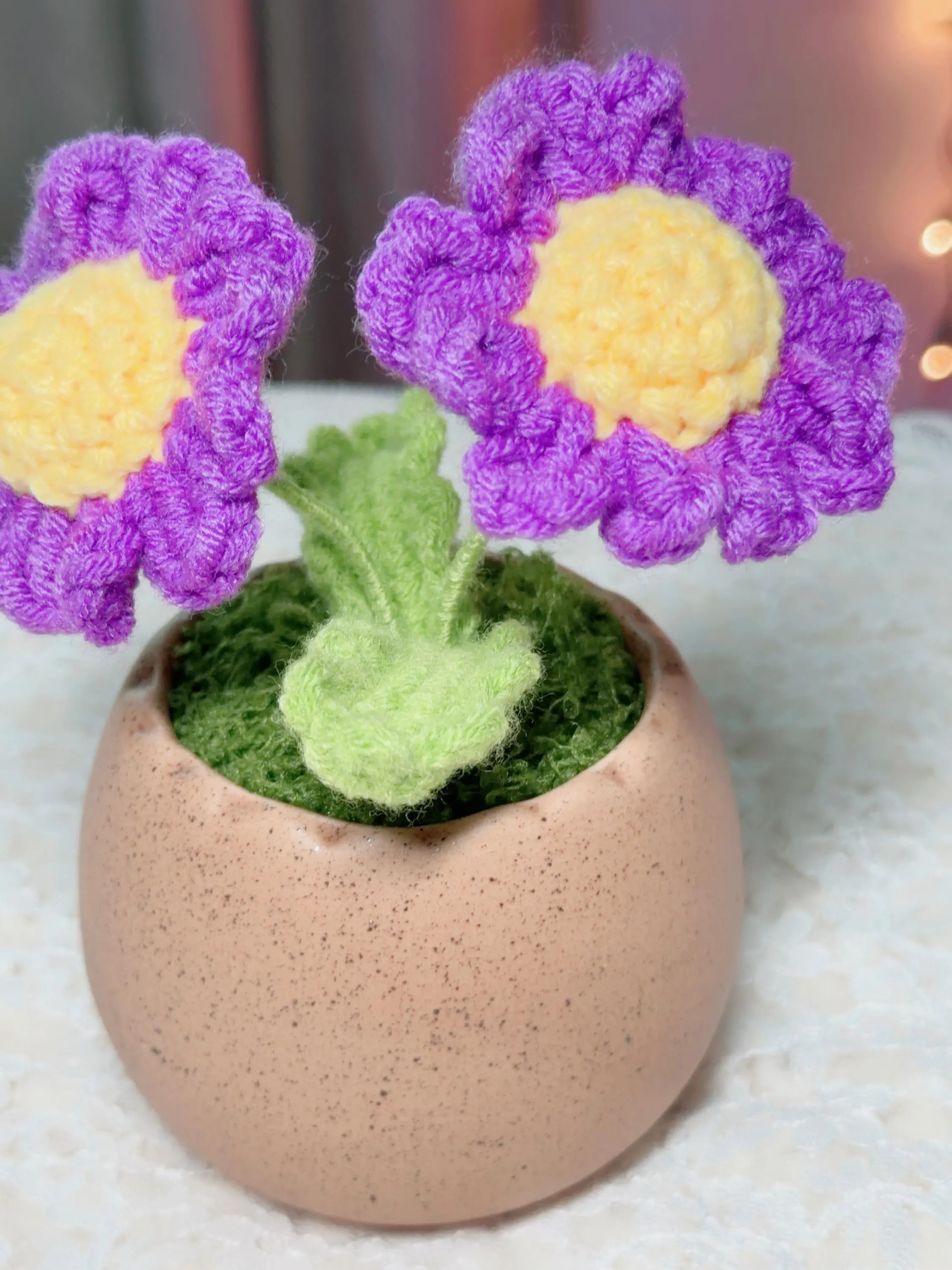 Crochet Daisy & Bell Flower Pot, product photo 10